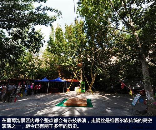 新疆葡萄沟视频