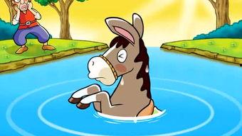 寓言视频,智慧与启示的视觉之旅