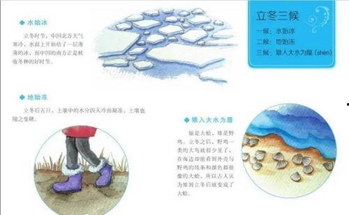 立冬视频讲解,传统习俗与养生智慧揭秘