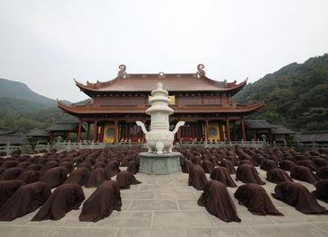 传戒忏摩视频,修行之路的指引与感悟