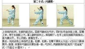 24式简化太极拳教学视频